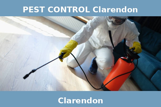 PEST CONTROL Clarendon